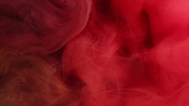 Duman kırmızı. Canlı bir duman. Küçük parçacıklarla değiştirilebilir sisli soyut arkaplan. Bulanık boya peçesi suda eridi..