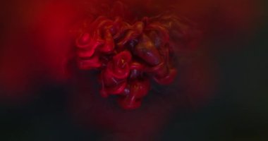 Parlayan toz. Duman mürekkebi. Kırmızı toz pigmenti akışı siyah gri suda çözünür. Işıl ışıl parlayan sıvı, soyut sanat arkaplanı.