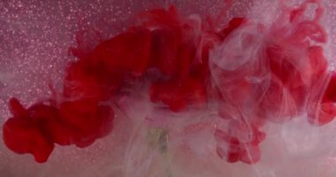 Sanat buharı. Gül dumanı. Çiçek dokusunda kırmızı beyaz sisli boya. Pembe yapraklı, parlak, soyut arka plan su pigmenti..