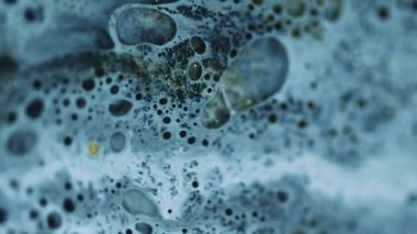 Yağlı sıvı dalgası. Boya dökülmüş. Bulanık mavi, siyah, ıslak, köpüklü, mürekkep emülsiyonu, parlak, altın parçacıklar, soyut arkaplan akışı..