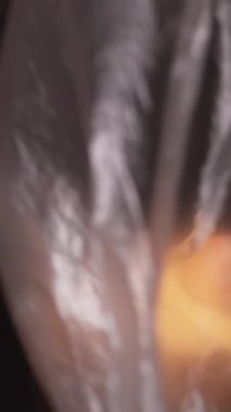 Dikey video. Gezegen kirliliği. Ekoloji problemi. Küresel ısınma Kırışık kullanılmış plastik film, dünyayı kaplıyor. Karanlıkta taze organik meyvelerle..