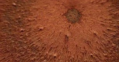 Parıltı patlaması. Işıl ışıl dökülüyor. Bakır mürekkep sıvısı merkezi güneş ışıl ışıl sıvı partiküller dalga ışınları soyut bulanık arkaplan.