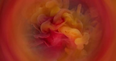 Duman patlaması. Sis çiçeği. Zarif, canlı, ışıl ışıl, turuncu, sprey boya çemberi. Odaklanmış pembe şeftali dumanı, soyut bir arka plan..