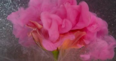 Dalga sisi. Gül çiçeği. Şeffaf sıvıda yayılan garip pembe mürekkep. Sanat sıvısı doğayı bulanıklaştırır soyut gri arkaplan parıldayan yüzey.