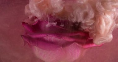 Duman karışımı. Parıltı buharı. Gümüş şeftali parçacıkları bulanık gül üzerinde pigment mürekkebi karışımı. Işıldayan sıvı. Çiçekler. Soyut su arka plan sanatı..