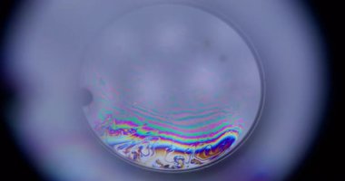 Psikedelik baloncuk. Girdap sabunu. Renkli mürekkep benzini kaprisli katman beyaz su yüzeyi. Sanatsal sıvı boya çemberi siyah arkaplan üzerine odaklanmış küre.