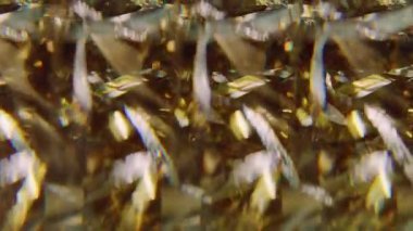 Görüntü kutlaması harika. Noel kurdeleleri. Işıldayan sarı altın rengi parlak parçacıklar soyut bokeh ışık arkaplanı üzerinde hareket ediyorlar.