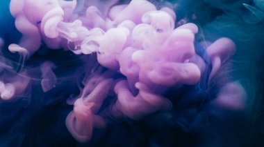 Suluboya mürekkep. Duman sıçraması. Mor menekşe mavisi sis akışı karışık renk sıvı doku. Bulanık eğri akış fantazisi soyut siyah arkaplana yayılmış.