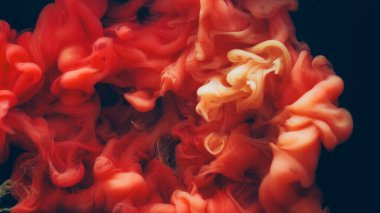 Boya damlası suyu. Duman üfleme. Renkli turuncu mürekkep dalgası karışık sanat bulutu. Soyut sis emülsiyonu boya kıvrımlı patlama pigment siyah arkaplan.