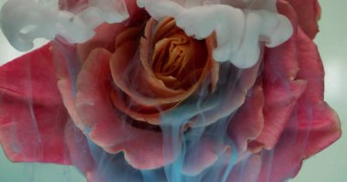 Çiçek yaprakları. Duman boyası sıçraması. Odaklanmamış mavi, kırmızı, gül desenli, soyut sanat arka planında yüzen bitki mürekkebi..