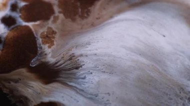 Mürekkep dalgası. Sıvı dökülmesi. Soyut zemin üzerinde yüzen sıvıdaki kahverengi renkli kimyasal mermer parçacıkları çözünmüş..