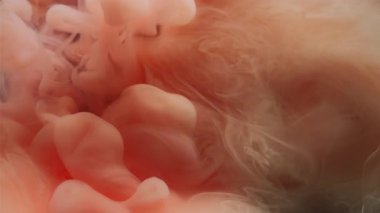 Duman girdabı. Boya akışı. Bulanık suda turuncu şeftali rengi duman karışımı. Soyut mistik sanatsal sis yüzen sıvı boya arka planı.