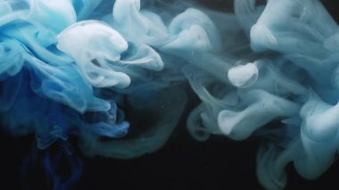 Sis sıvısı. Haze boyası. Mavi gri duman hipnotik kıvrım fırtınası sıvıda akıyor. Boyalı su, soyut siyah arkaplanı çözer.