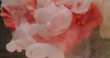 Boya çiçeği. Buhar bulutu. Odaklanmamış pembe beyaz gül yaprakları mürekkep çiçeği kara siyah soyut sanat arka planında doğa dokusu.