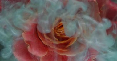 Çiçek arkaplan. Boya sıçraması. Suyun içindeki mavi turuncu renkli yapraklar duman bulutu buhar soyut sanata yayılıyor..