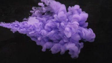 Duman patlaması. Boya yayılmış. Violet Puse Puff akıntısı, siyah arka plana sıçrıyor. Odaklanmamış sanat soyut akış boya çekimi.
