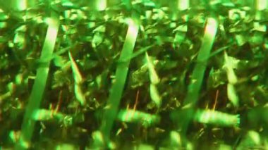 Soyut bulanıklık. Parıldayan parıltılar. Renkli yeşil ışıldayan parçacıklar parlak ışıldayan mercekler Bokeh ışık arka planında hareket ediyor.