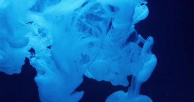 Duman sıçratma boyası. Mürekkep arkaplanı. Odaklanamayan mavi renkli su bulutu sıvı dokusu soyut yaratıcı kara sanat üzerinde yüzüyor..