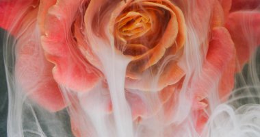 Mürekkep çiçeği. Su yaprakları. Odaklanmamış beyaz kırmızı çok renkli gül simli partiküller soyut sanat arka planına duman damlası karışımı boyarlar..