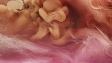 Suluboya kokusu. Fantezi sıvısı. Şeftali rengi bej rengi boya sis dalgası girdapları soyut arkaplan karışımı. Bulanık boya çözeltisi.