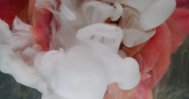 Su açar. Islak çiçek dokusu. Odaklanmamış kırmızı turuncu renkli boya sıvı doğaya sıçramış mürekkep bulutu taç yaprakları soyut sanat arka planı.