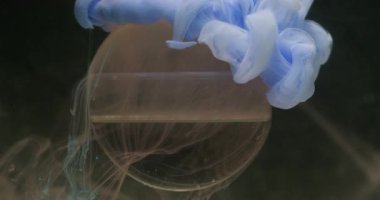 Yuvarlak sıvı. Boya bulutu. Odaklanmamış mavi renk su, ıslak doku boncuk akışı soyut sanat üzerinde yüzen koyu siyah arkaplan.