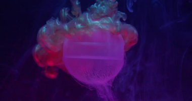 Parlatıcı boya. Köpüklü top. Soyut sanat üzerine odaklanmış neon rengi mor bronz parlak ıslak geometrik bulut yuvarlak dokusu koyu siyah arkaplan.