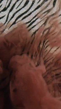Dikey video. Renkli sis. Su mürekkebi. Yüzen kahverengi sis parlayan duman zebra dokusu soyut çizgili arkaplan boyası.