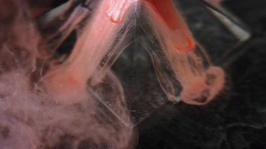 Boya damlası. Işıldayan damlalar. Mistik sularda kristal cam piramidin üzerinde kayan turuncu simli damlalar. Odaklanamayan siyah özgün arkaplan dumanı.