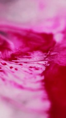 Dikey video. Mürekkep döküldü. Sıvı karışımı. Odaksız pembe beyaz renk ıslak akrilik emülsiyon karışık dalga akış mermer desen soyut sanat arka planı.