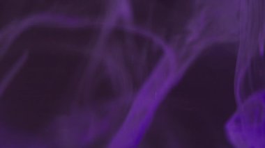Bulanık atmosferik duman. Sıvı girdap. Çok renkli, mor, ışıl ışıl parlayan, parlak, boyalı su soyut koyu arkaplanda hareket ediyor..