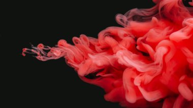 Duman patlaması. Boya yayılmış. Kırmızı sisli bukle akıntısı siyah arka plana sıçrıyor. Odaklanmamış sanat soyut akış pigment çekimi.