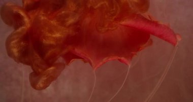 Gül çiçeği. Boya sıvısı. Odaklanmamış kırmızı bronz taç yaprakları ıslak mürekkep dokusu ışıldayan toz zerreleri soyut arkaplan dumanı.