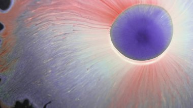 Mürekkep yayılıyor. Sıvı sıçraması. Odaklanmamış mavi pembe harmanlanmış mermer lekeli lekeli su soyut akrilik sanat arka planına sıçrıyor..