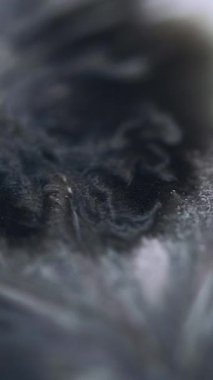 Dikey video. Mürekkep döküldü. Bulanık lekeler. Odaklanmamış siyah beyaz parçacık dokusu akrilik sıvı karışımı dalga hareketi soyut sanat arkaplanı.
