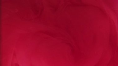 Su dumanı. Suyun altında boya. Odaklanamayan parlak kırmızı beyaz, modern sanatın soyut arka planında dönen pigment mürekkebini zıtlaştırır.