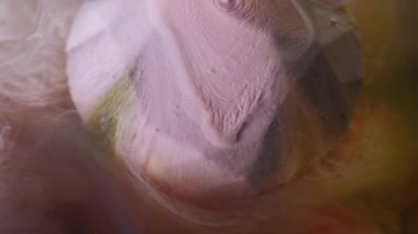 Matte akışı. Boya dökülüyor. Dekoratif bulanıklığa yayılan beyaz emaye pigmenti elmas yüzey tarafı renkli sisli su soyut arka plan.