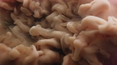 Boya sisi. Boyayla boyanmış. Gri şeftali rengi bulanık mistik sıvının içinde yüzen beyaz bej mürekkep. Sanat dokusu soyut renk sıvı arkaplanı.