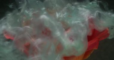 Gül arka planı. Köpüklü sıvı. Odaklanmamış kırmızı turuncu renk çiçek açmış bitki yaprakları parlak ıslak boya soyut koyu siyah sanata sıçramış..