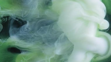 Mürekkep buharı. Duman karışımı. Beyaz yeşil sıvı pigment gizem karışımı renk soyut siyah arkaplan. Su pigmenti kabarcıkları girdap bulanıklığı.