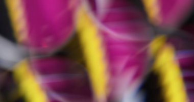 Görsel ışıltı. Bulanık yüz dokusu. Soyut sanat ışığı arka planında sönük sarı mor renkli spektrum aydınlatılmış efekt.