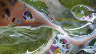 Suluboya akışı. Donmuş parçacıklar. Yeşil dekoratif adalar arasında konfetili boya sıvısı. Bulanık, buzlu bitki dokusunun üzerine dökülen boya karışımı..