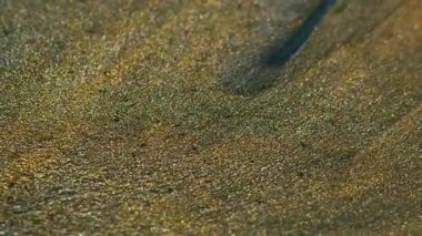 Mürekkep sıçraması. Parıltı patlaması. Gri altın sarısı grunge emülsiyon akışı garip bir şekilde sanat suyu dokusu parçacıklar soyut arkaplanı bulanıklaştırıyor.