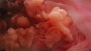 Renk akışı. Buhar arka planı. Odaklanmamış pembe turuncu pigment bulut desenli duman dumanlı sis boyası soyut sanat eserlerinde yüzüyor..