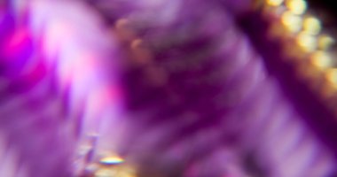 Gökkuşağı geometrisi. Bulanık yüz dokusu. Soyut ışık arka planında odaksız mor kırmızı renk spektrum mercek parlaklığı.