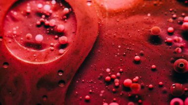 Yağ sanatı. Boya karışımı. Odaklanmamış kırmızı kırmızı mürekkep rengi su kabarcıkları damlalar halinde küresel doku soyut arkaplana yayılır..