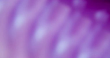 İşaret fişeği. Bulanık parıltı dokusu. Odaklanmamış mor yanıp sönen lens parıltısı soyut sanat yaratıcılığı arka planında yüzüyor..