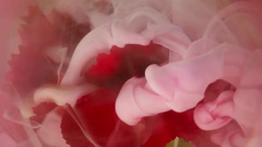 Sis dalgası. Sis çiçeği. Zarif boya, ışıltılı doğa karanfil spreyi mürekkep çözünmüş pembe beyaz duman suyu özeti arka plan rengi..