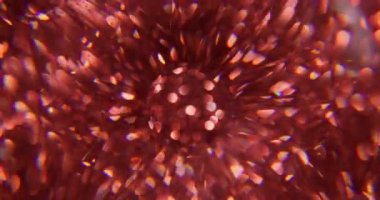 Küre gökkuşağı. Bulanık yuvarlak. Odaklanmamış kırmızı renkli kıvılcım deseni yanıp sönen spektrum mercek alevi soyut sanat ışığı arka planında akıyor.