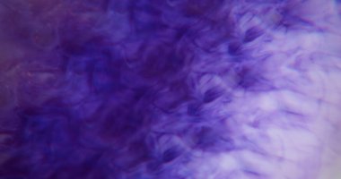 Mürekkep girdabı. Odaklanamayan renkli köpük. Bulanık soyut bokeh hafif modern arkaplan üzerinde odaklanmış mor parlak doku.